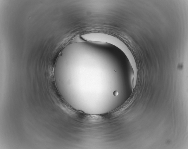 X0000090500429200708102245