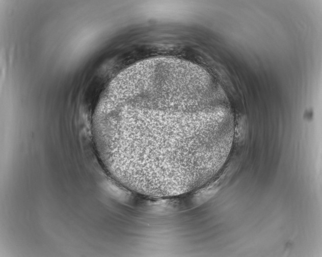 X0000090500430200708102245