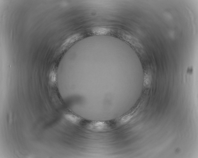 X0000090500431200708102245