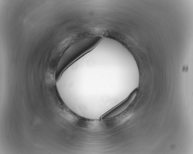 X0000090500432200708102245