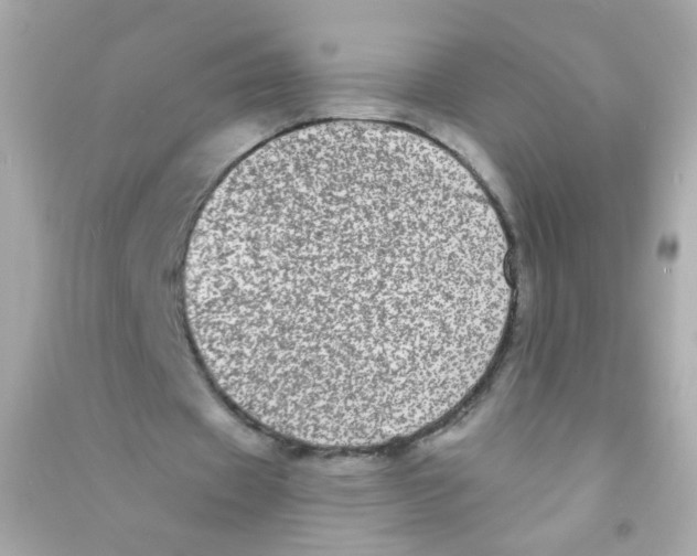 X0000090500433200708102244