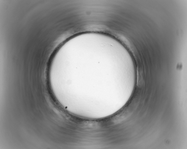 X0000090500435200708102244
