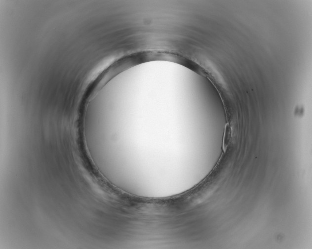 X0000090500436200708102244