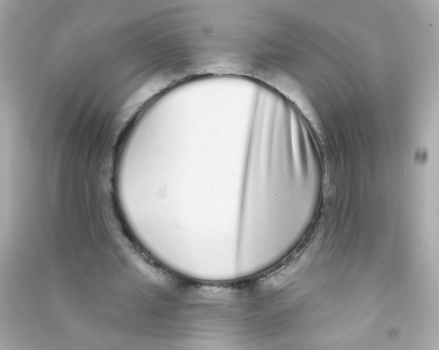X0000090500437200708102244
