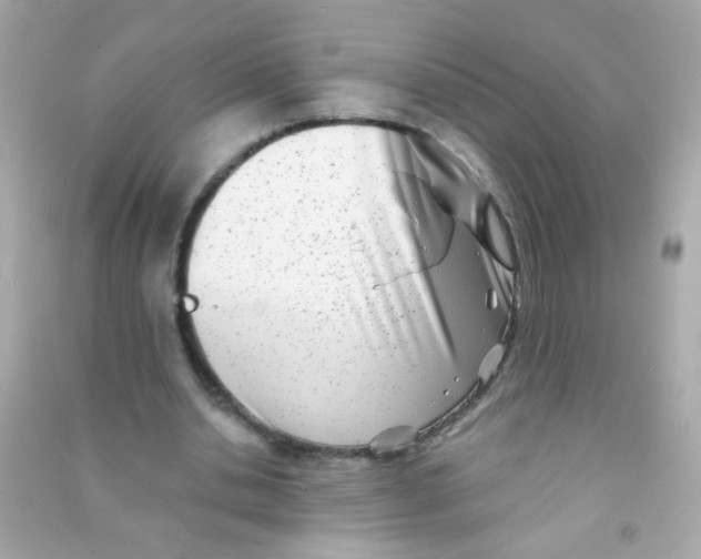 X0000090500438200708102244