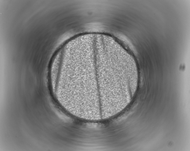 X0000090500439200708102244