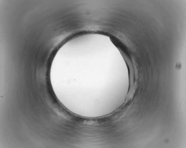 X0000090500440200708102244