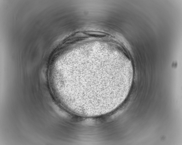 X0000090500441200708102244