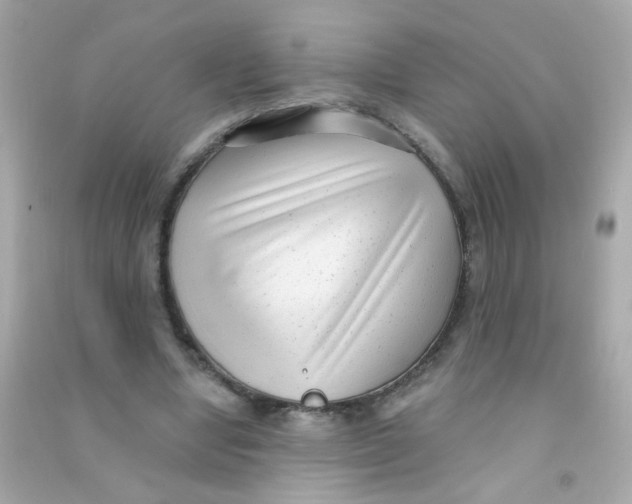 X0000090500442200708102244