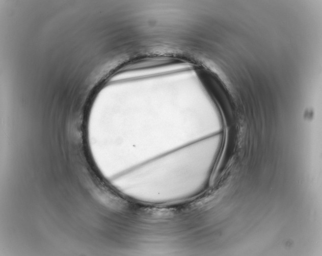 X0000090500443200708102244