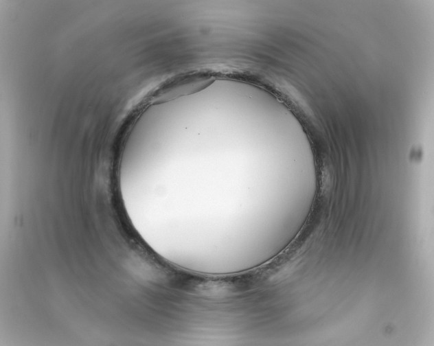 X0000090500444200708102244
