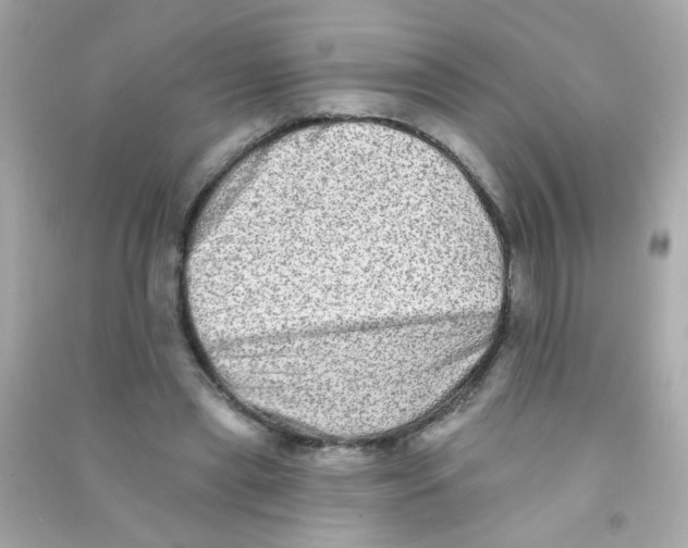 X0000090500445200708102244