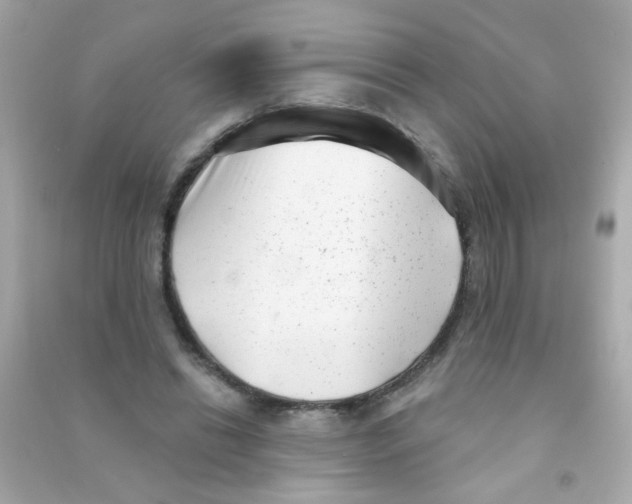 X0000090500446200708102244