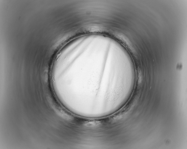 X0000090500447200708102244