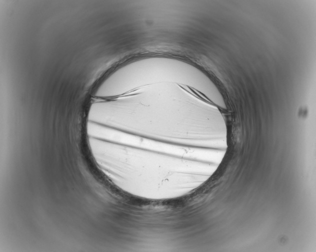 X0000090500448200708102244