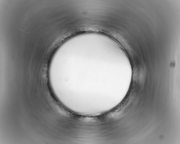 X0000090500449200708102244