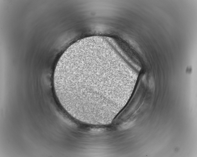 X0000090500450200708102244