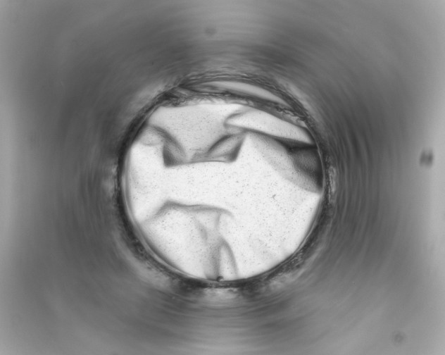 X0000090500451200708102244