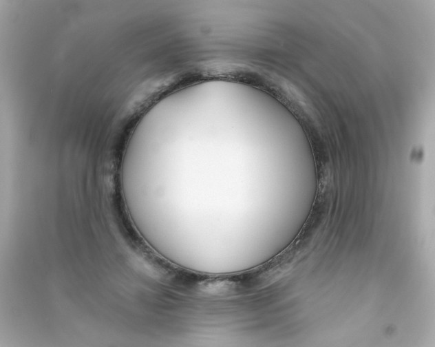 X0000090500452200708102244