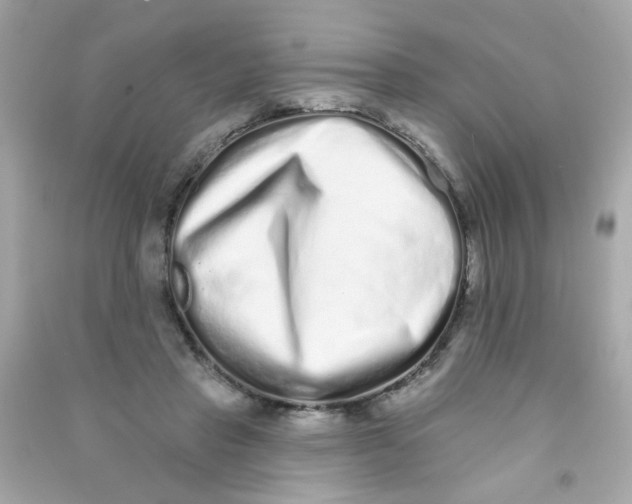 X0000090500453200708102244