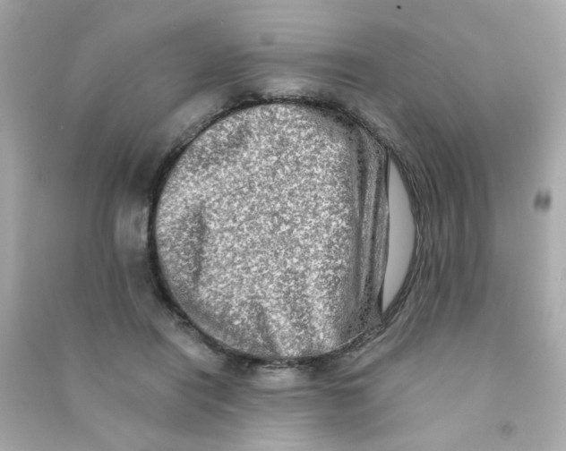 X0000090500454200708102244