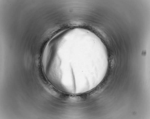 X0000090500455200708102244