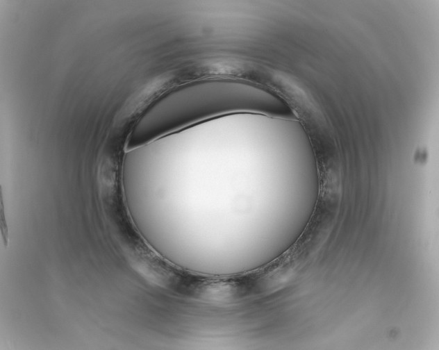 X0000090500456200708102244