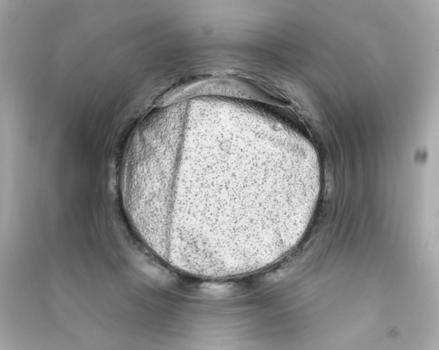 X0000090500457200708102244