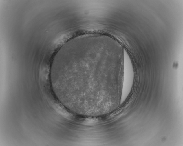 X0000090500458200708102244