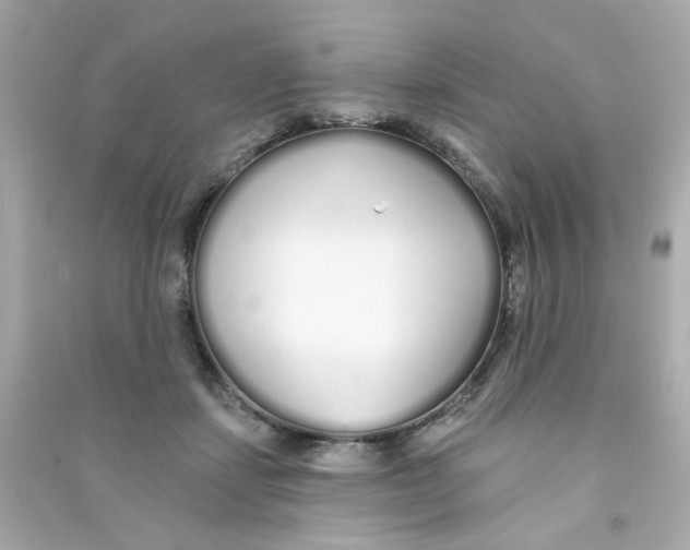 X0000090500459200708102244