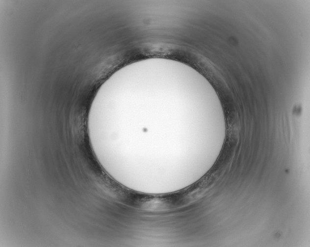 X0000090500460200708102244