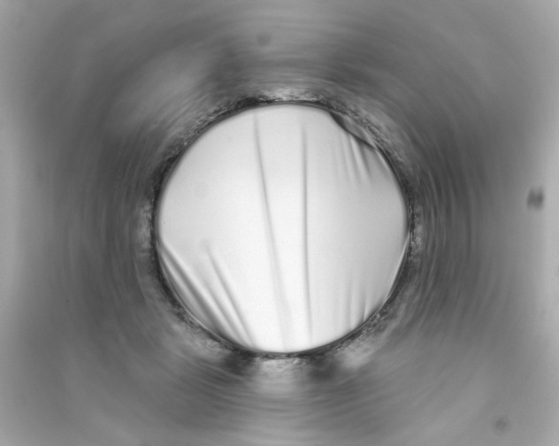 X0000090500461200708102244
