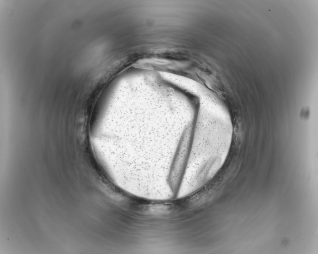 X0000090500462200708102244