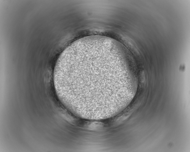 X0000090500463200708102244
