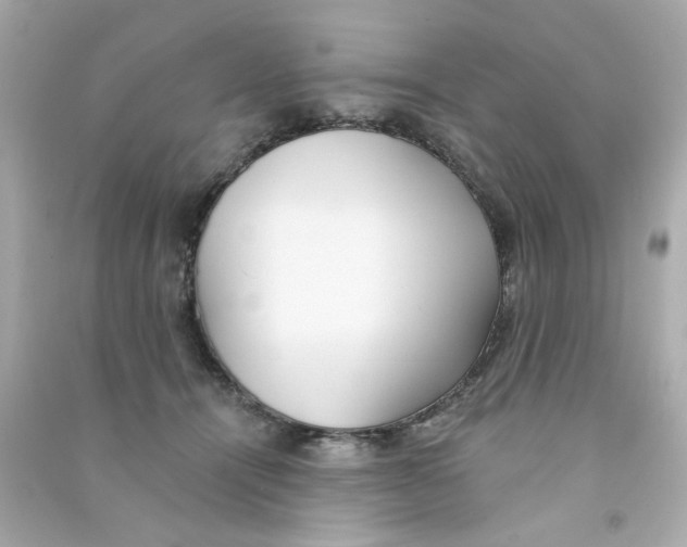 X0000090500464200708102244