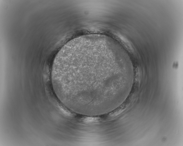 X0000090500465200708102244