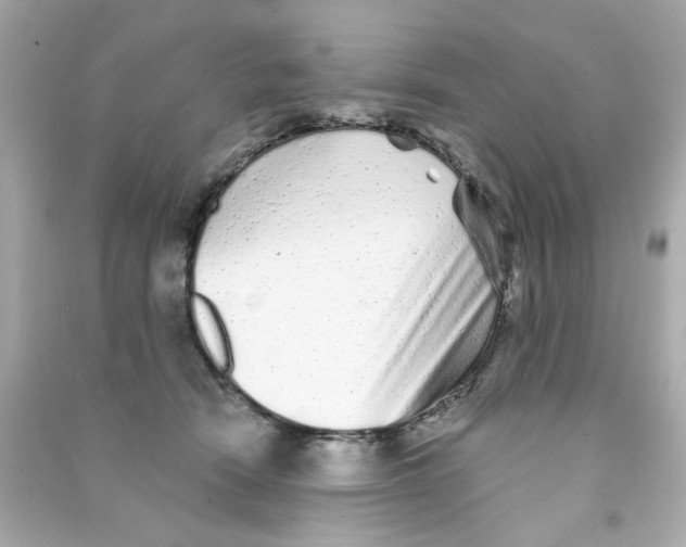 X0000090500466200708102244