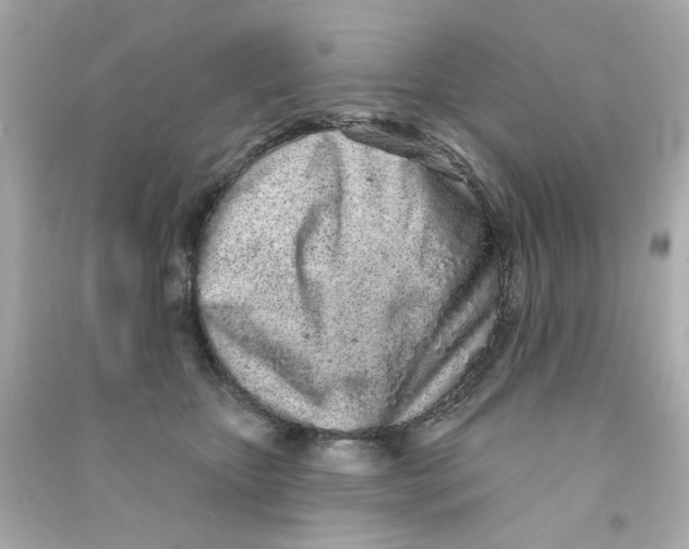 X0000090500467200708102245