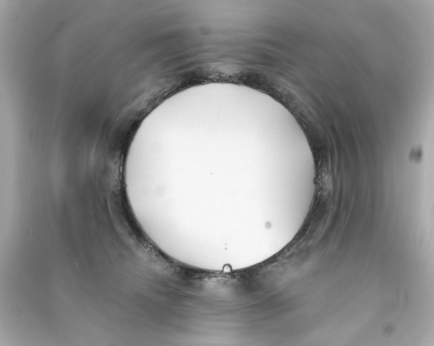 X0000090500468200708102245