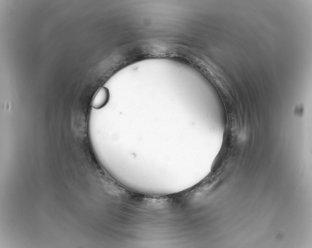 X0000090500469200708102245