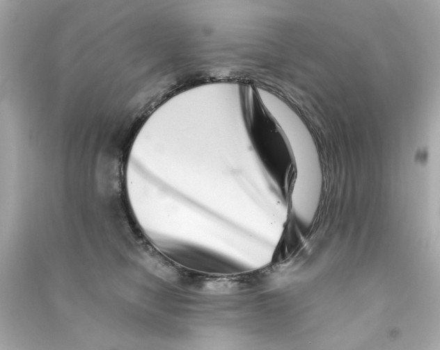 X0000090500470200708102245