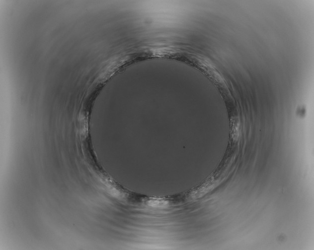 X0000090500471200708102245
