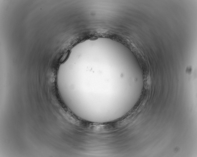 X0000090500472200708102245