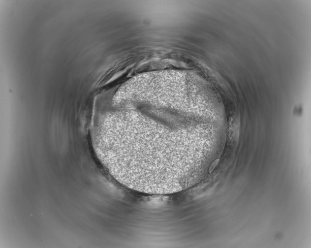 X0000090500474200708102245