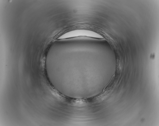 X0000090500475200708102245
