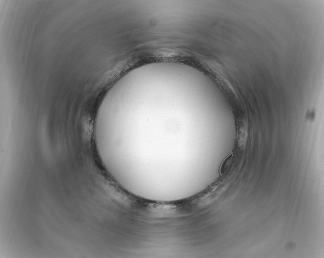 X0000090500476200708102245