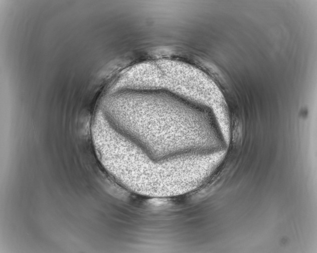 X0000090500477200708102245