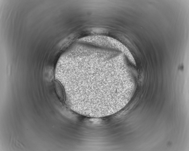 X0000090500478200708102245