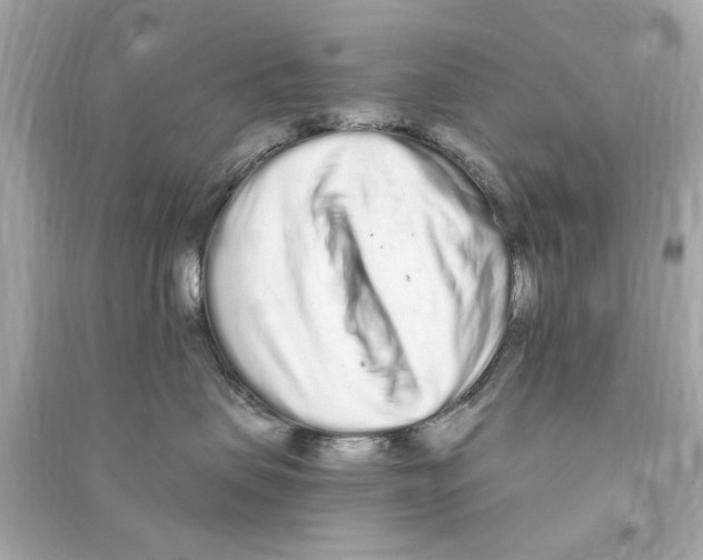 X0000090500479200708102245