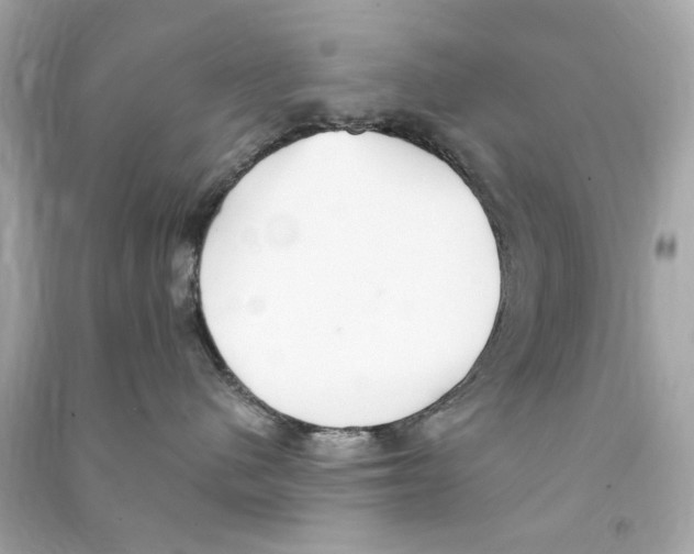 X0000090500480200708102245